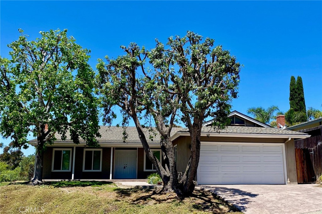 a front view of a house with a tree