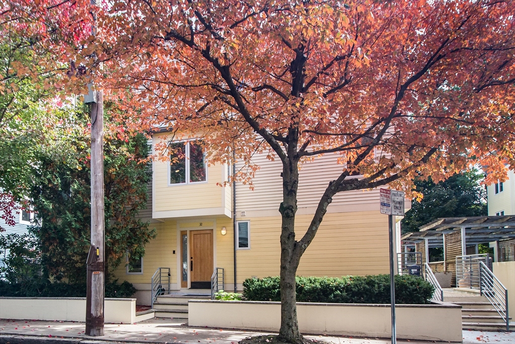 front view of a house with a tree