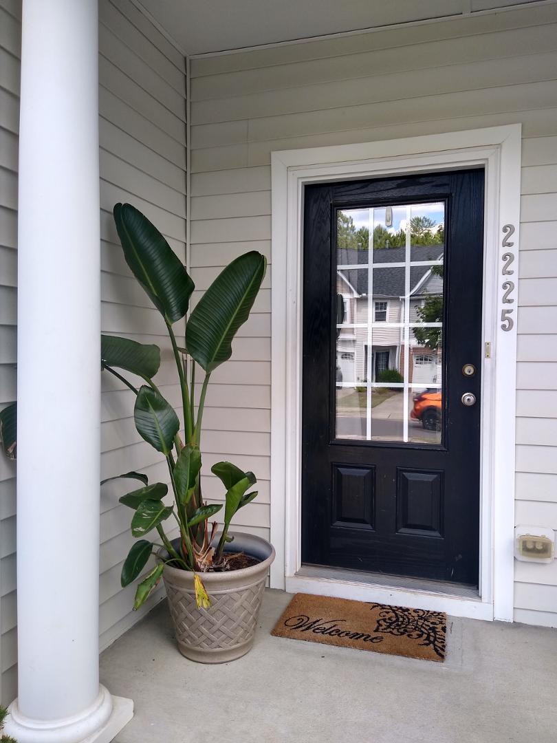 a potted plant sitting in front of a door