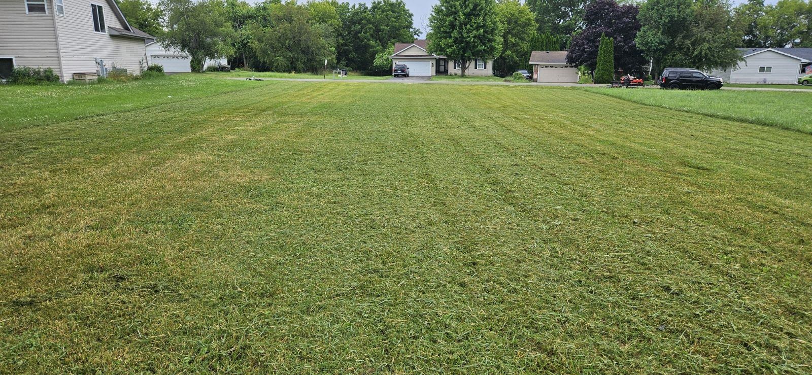 a view of a field of grass and trees