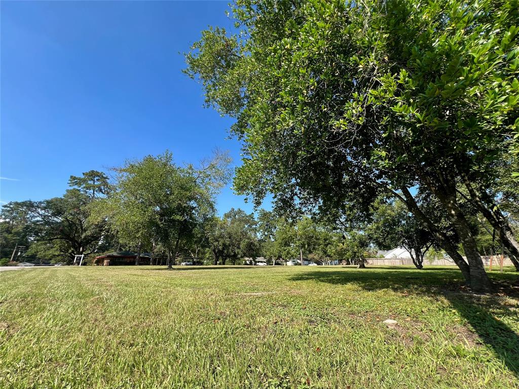 a view of yard with tree s