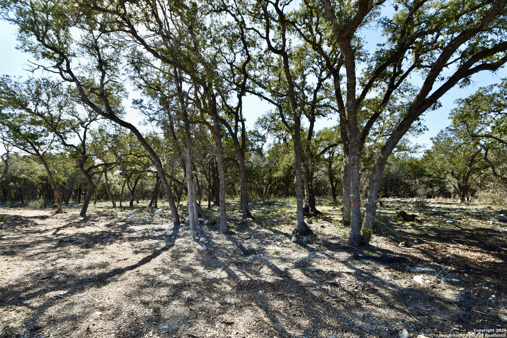 a view of outdoor space with trees