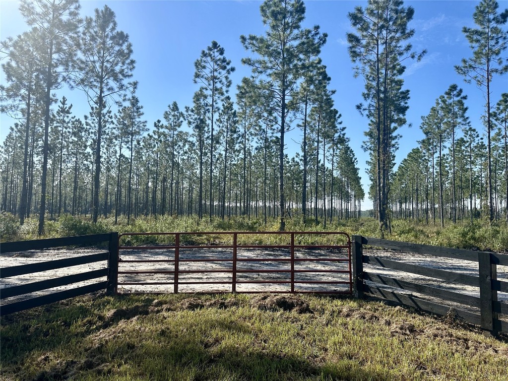 a view of a yard with a park bench and trees