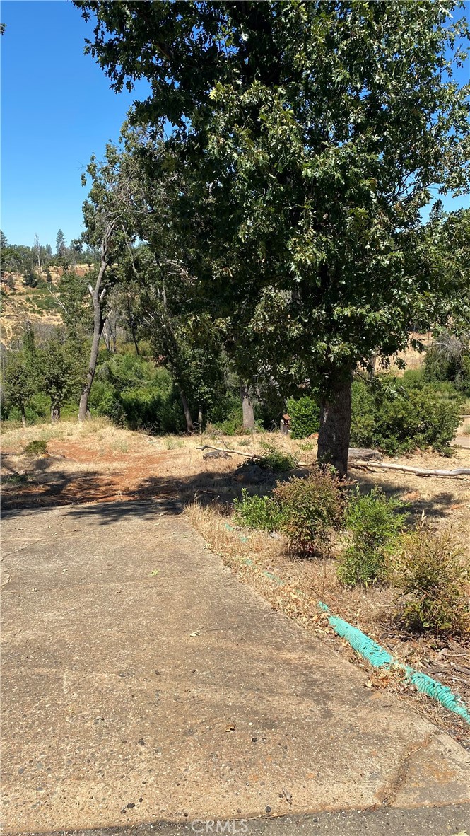 a view of a yard with a tree