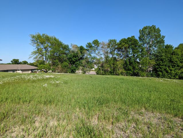 $65,000 | Tbd Lake Chapeau Drive | Albert Lea