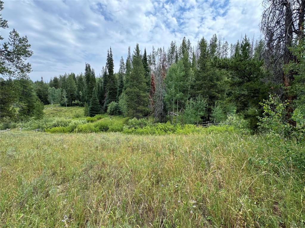 a view of a lush green space