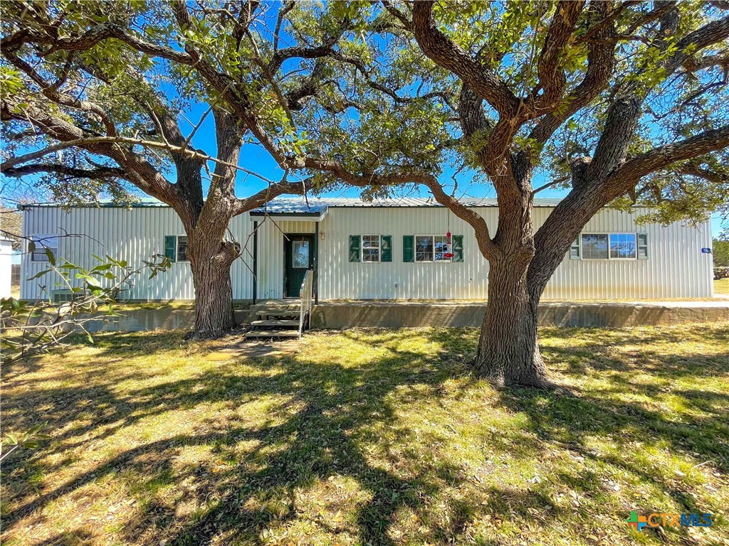 a view of a yard in front of the house with a large tree