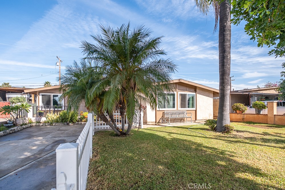 a house with palm tree in front of it