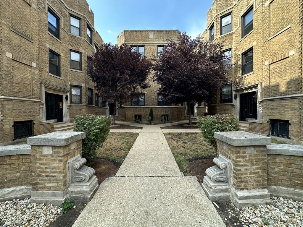 a view of a yard with plants