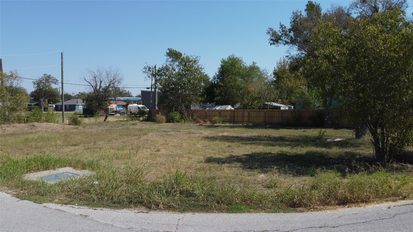 a view of backyard with green space