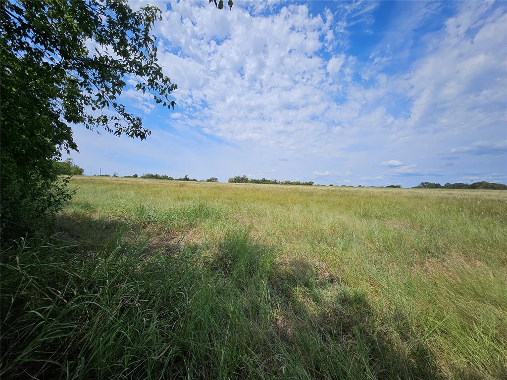 a view of a field with an ocean