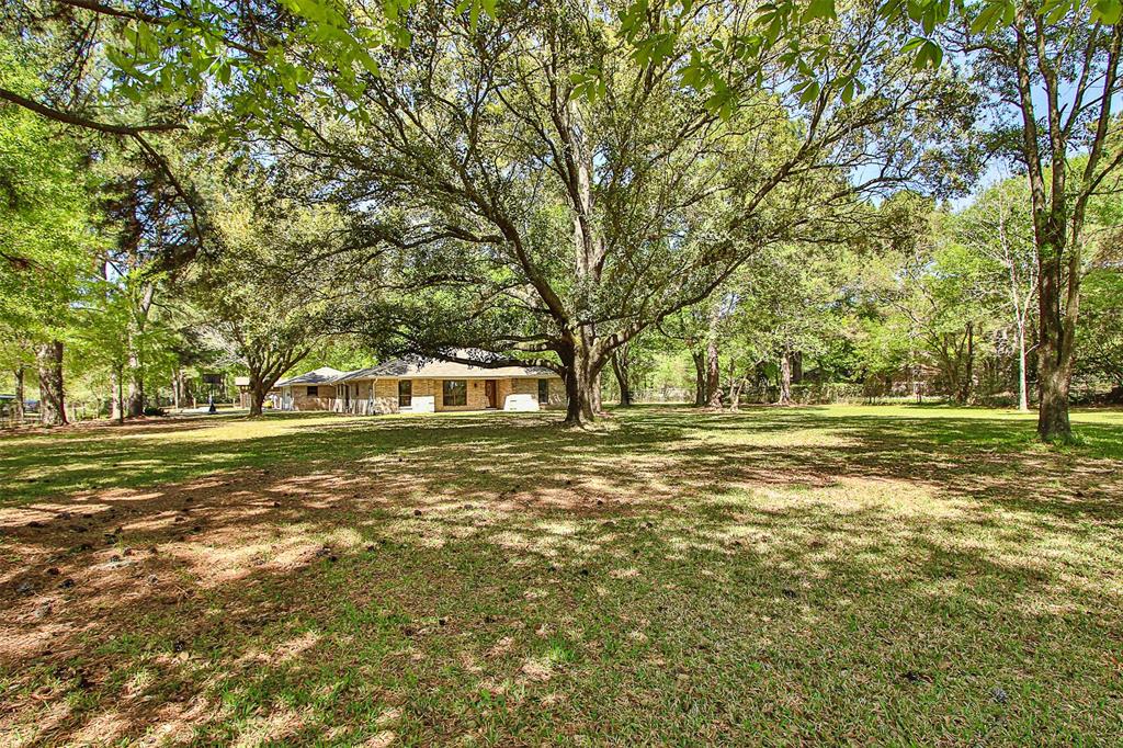 a view of outdoor space with trees