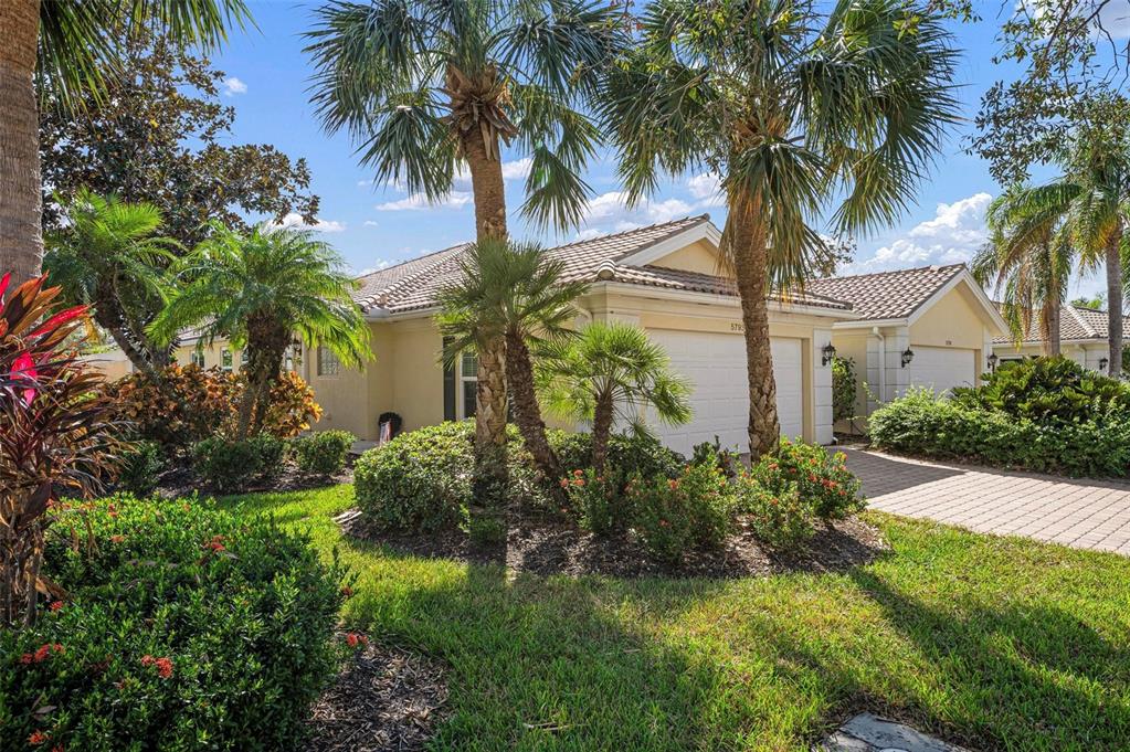 a view of a yard with a palm trees