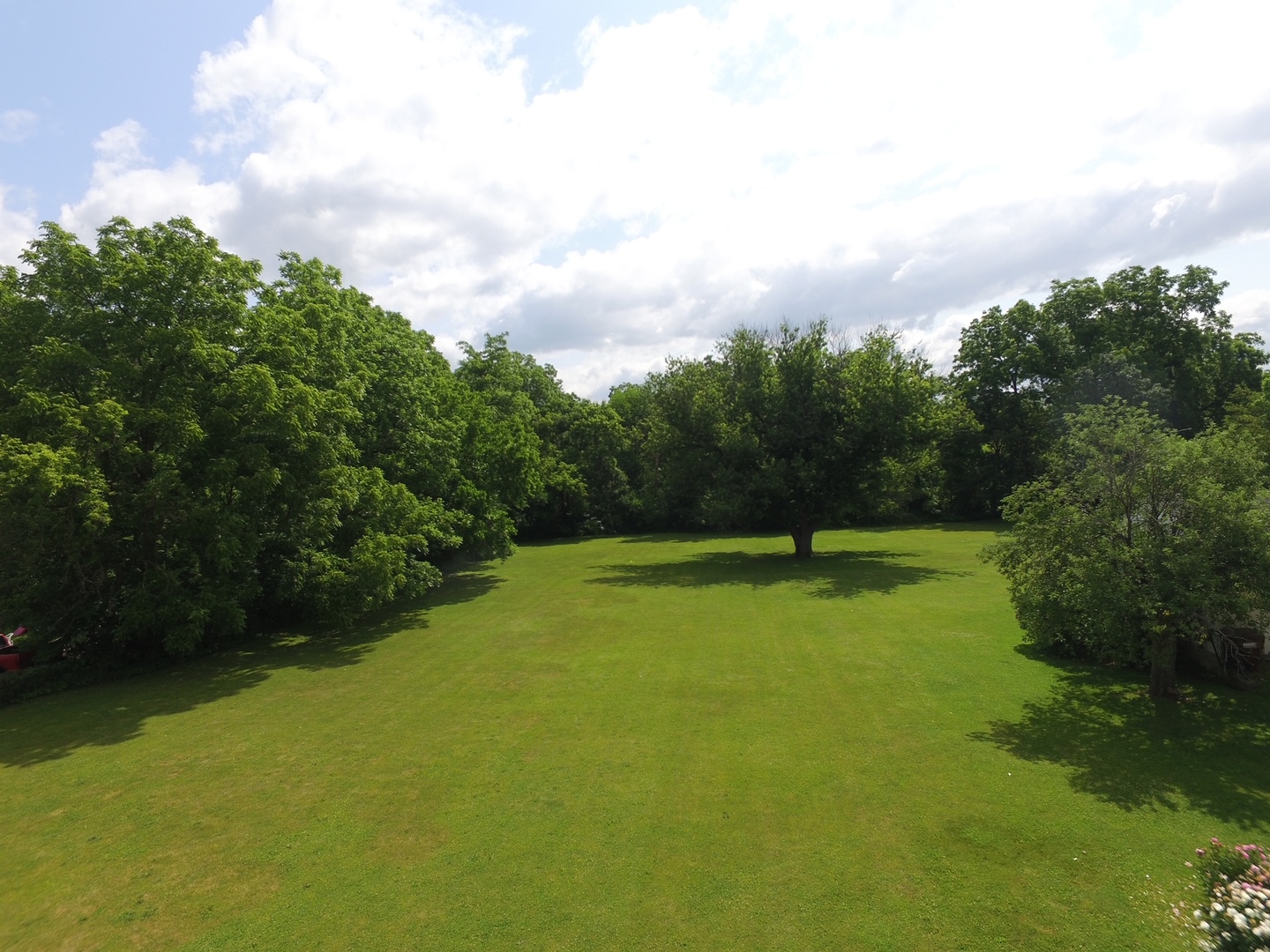 a view of a big yard with swimming pool and green space