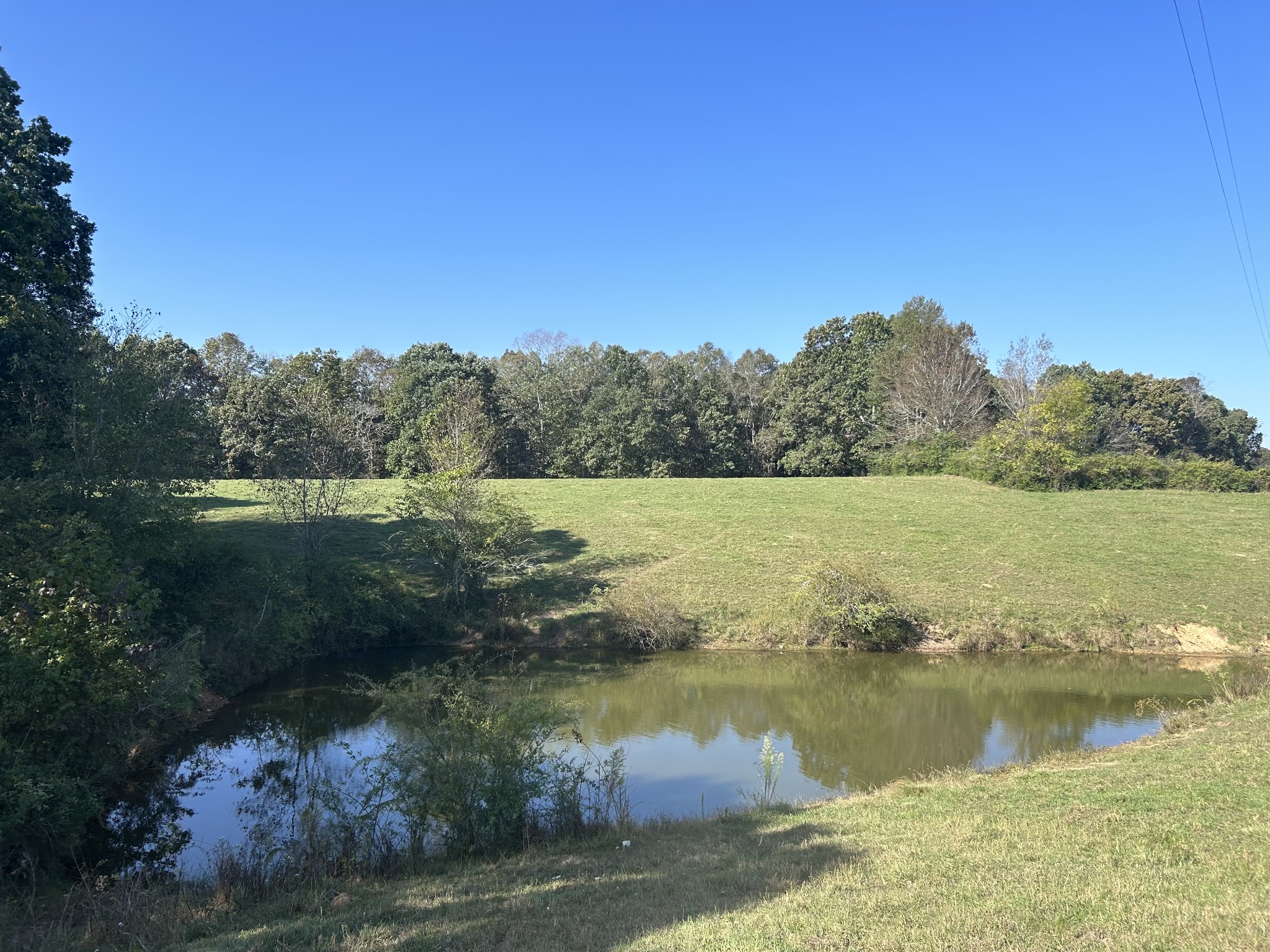 a view of a lake from a yard