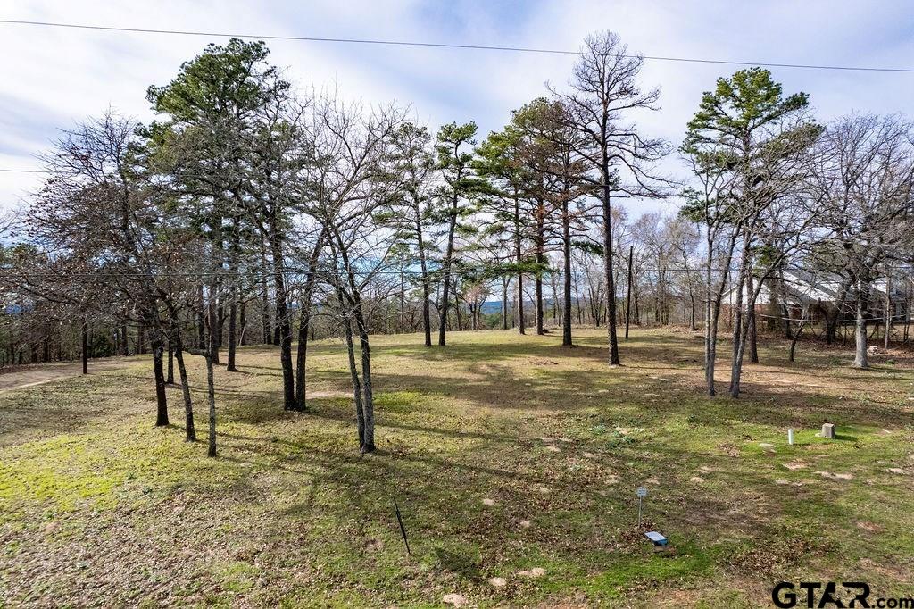 a view of yard with trees