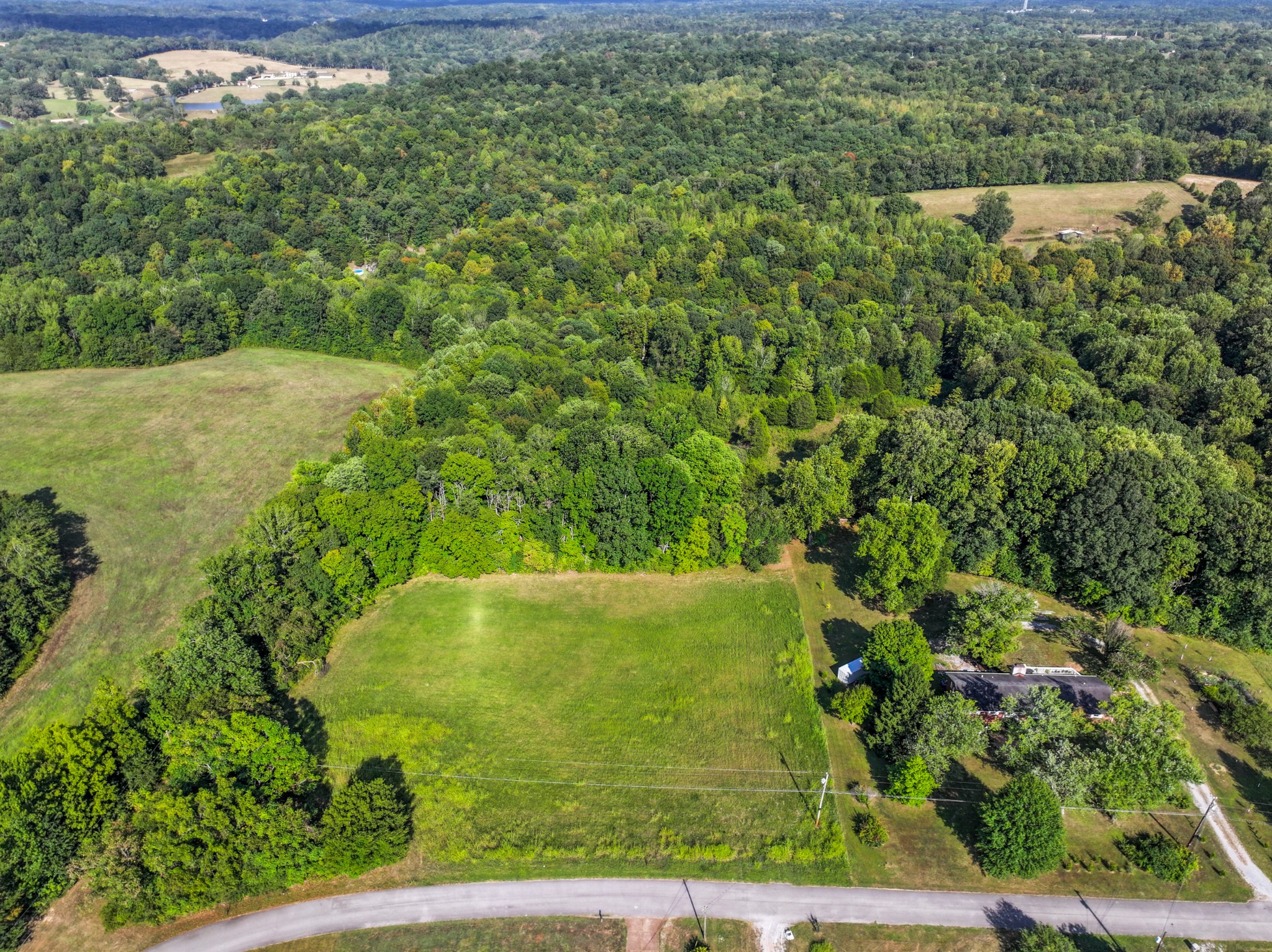 a view of a field with plants and large trees