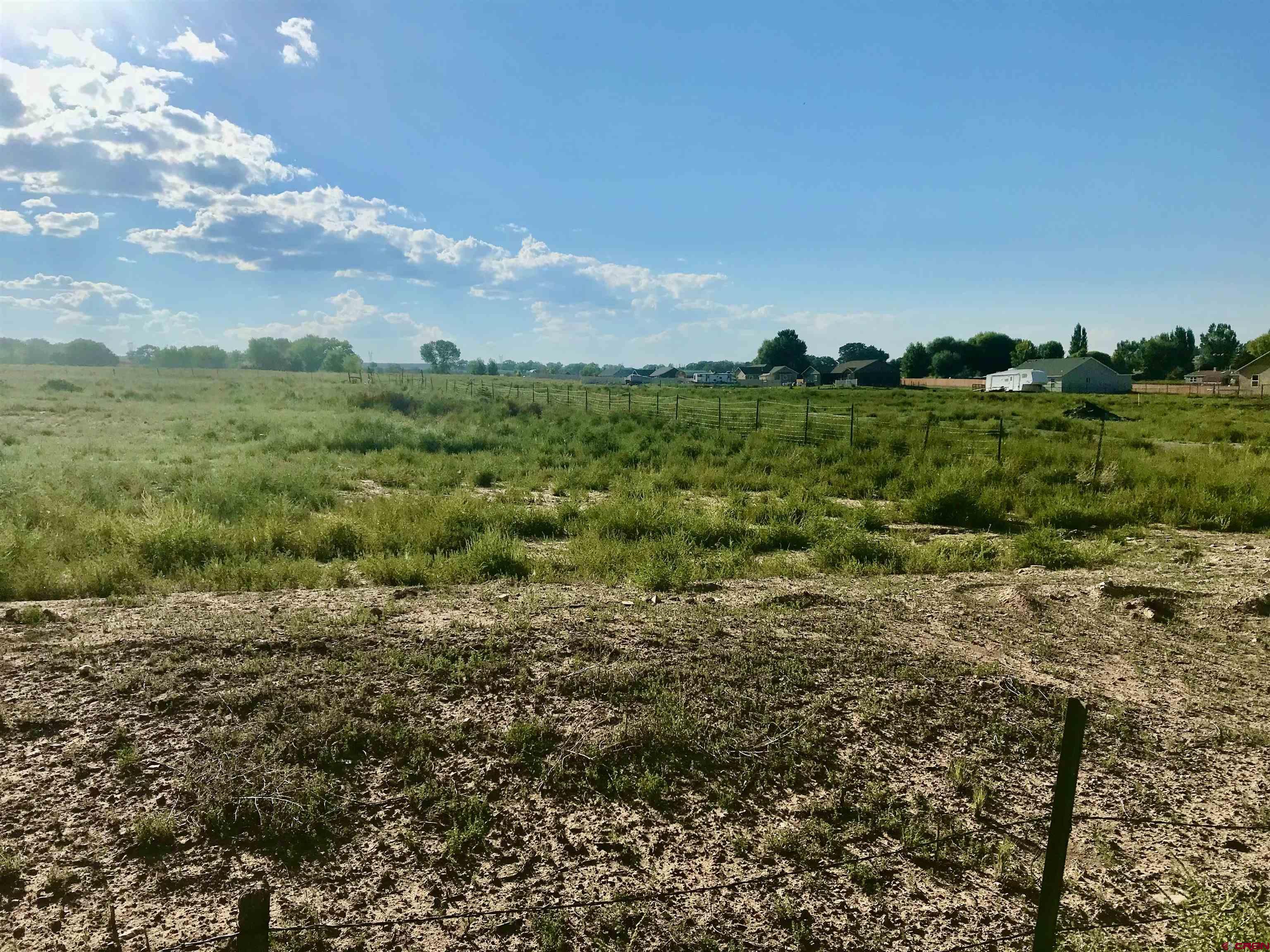 a view of a field with an ocean and trees