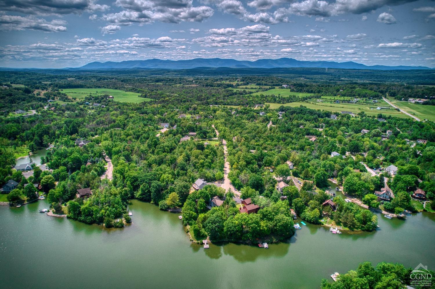 a view of a garden with a lake