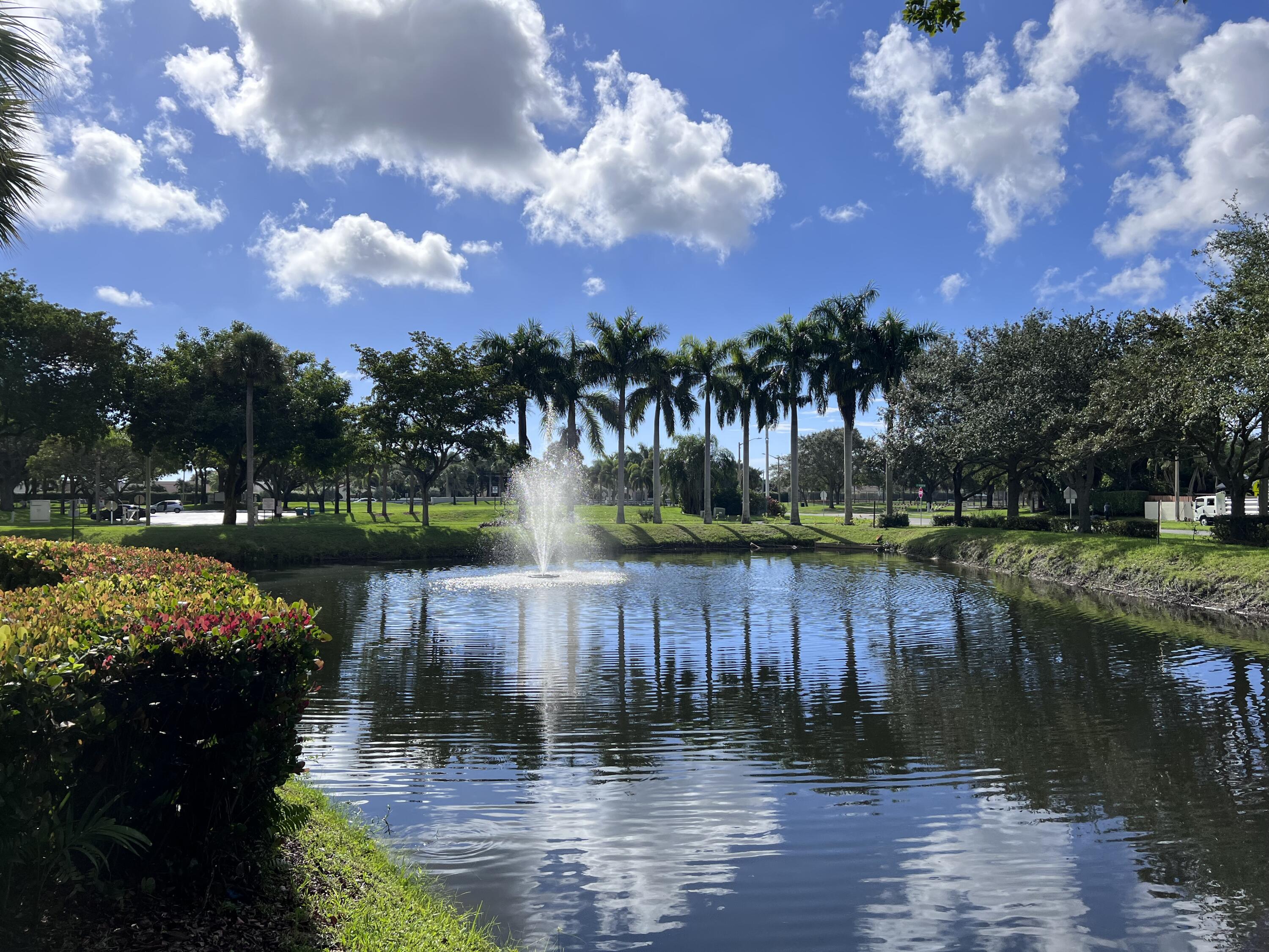 a lake view with boat and palm trees