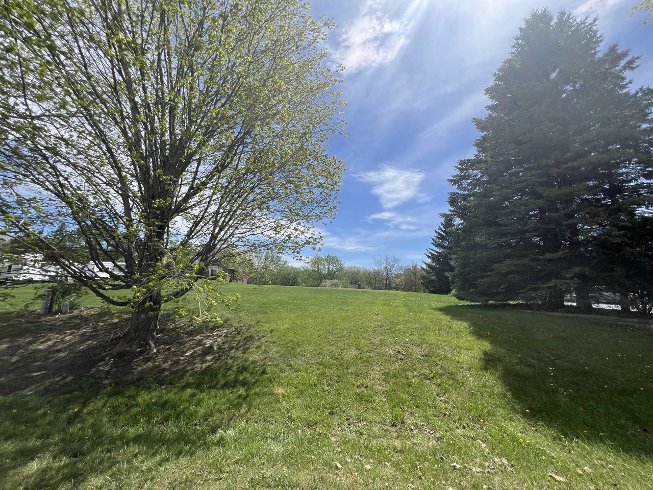 a view of a field with an trees