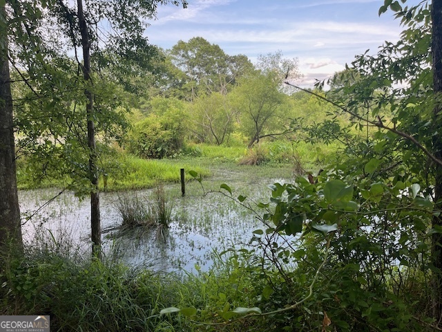 a view of a lush green forest with lots of trees