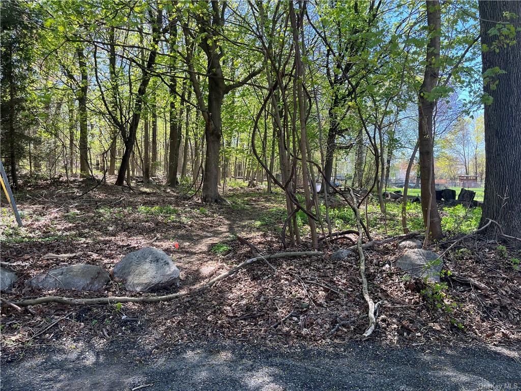 a view of a backyard with large trees