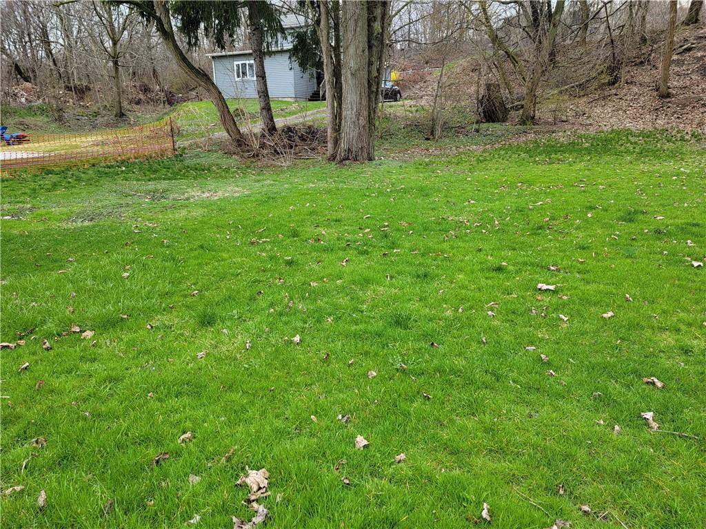 a view of a backyard with large trees