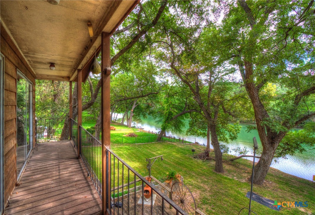 a view of a yard with large tree