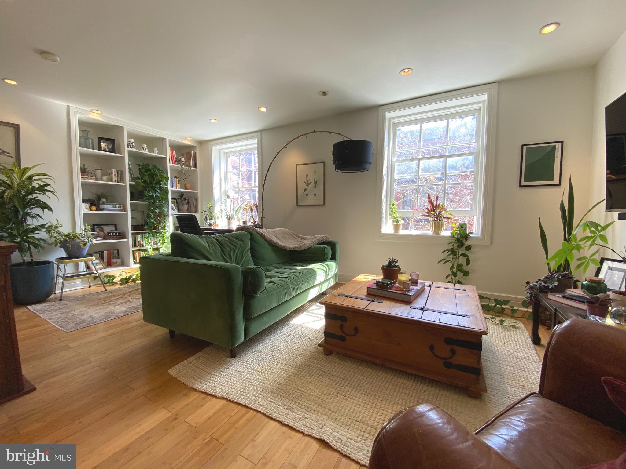 a living room with furniture and a potted plant