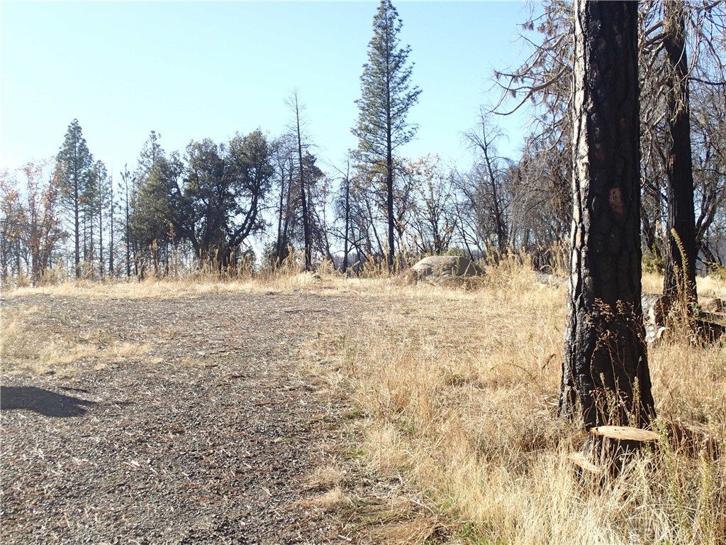 a view of outdoor space with trees