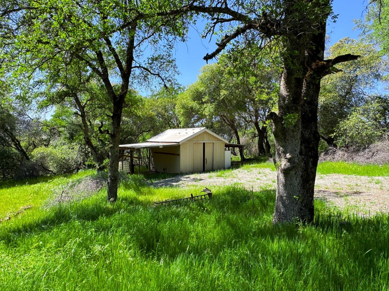 a view of a backyard with large trees