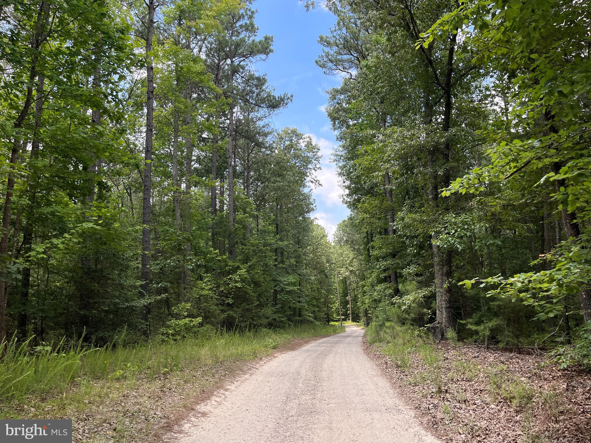 a view of a road with a trees