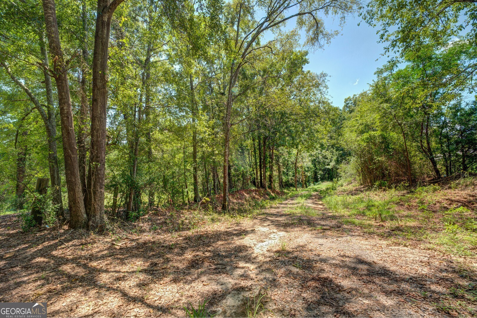 a view of outdoor space with trees