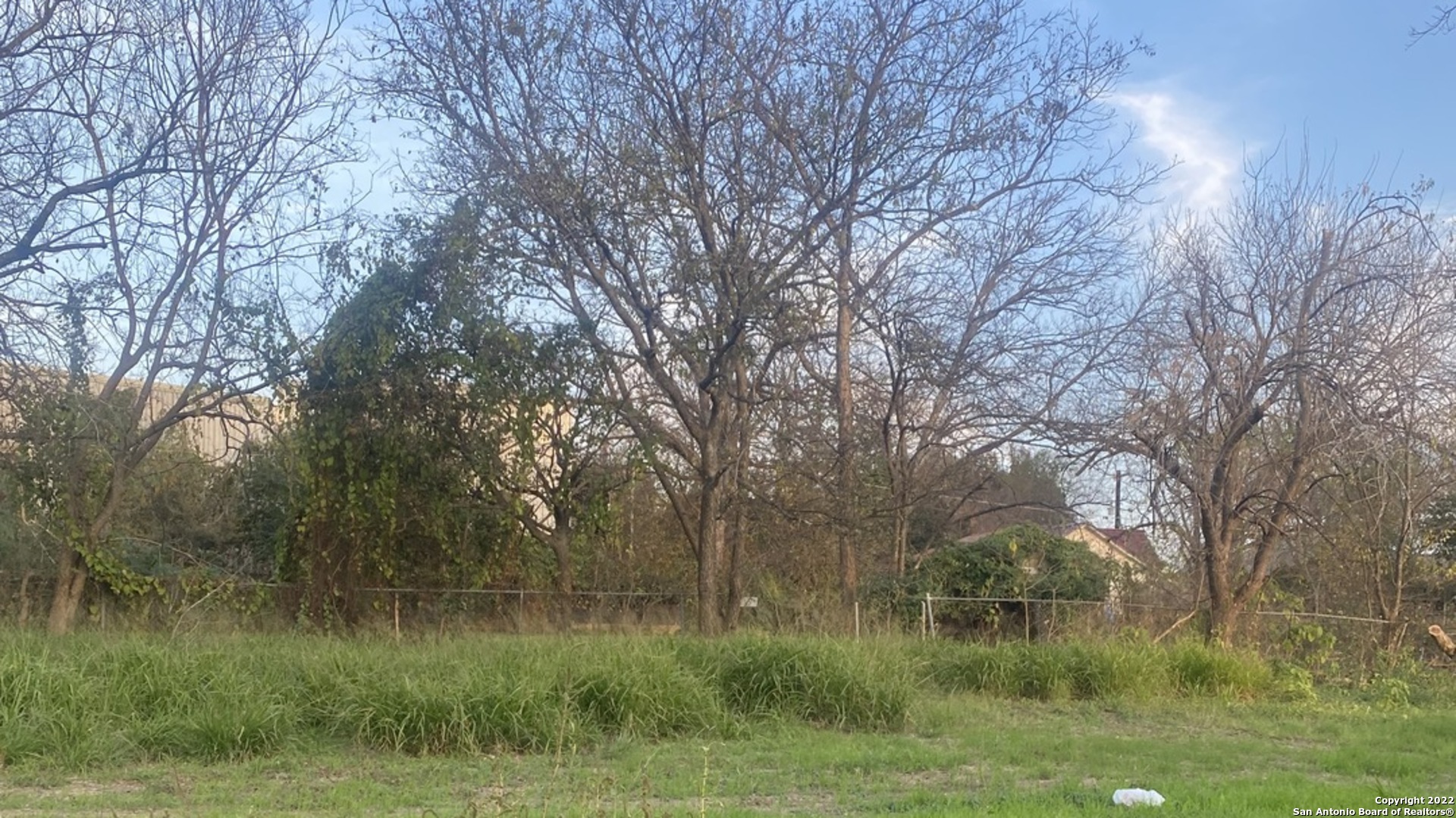 a view of a lush green forest