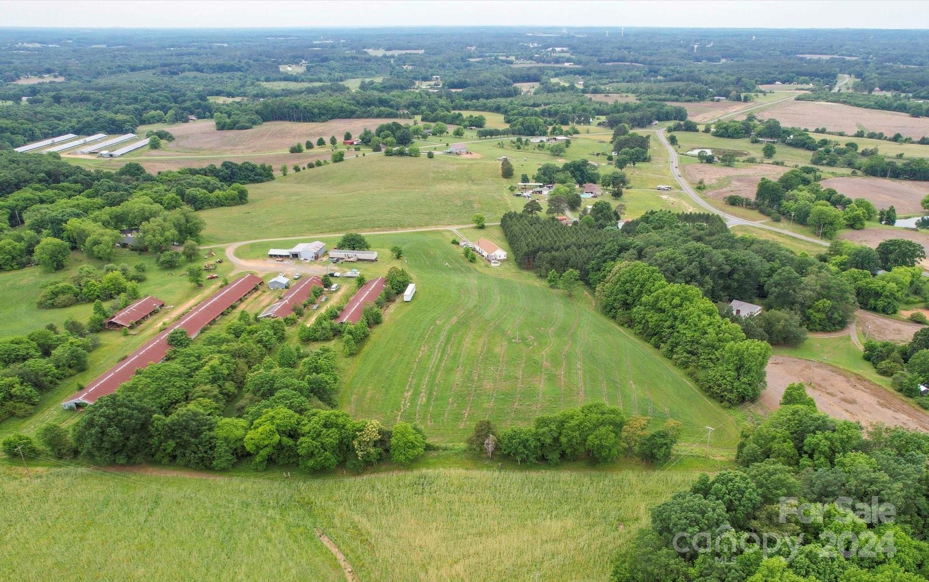 an aerial view of huge green field with lots of green plants