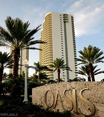 a view of a palm tree with sign board