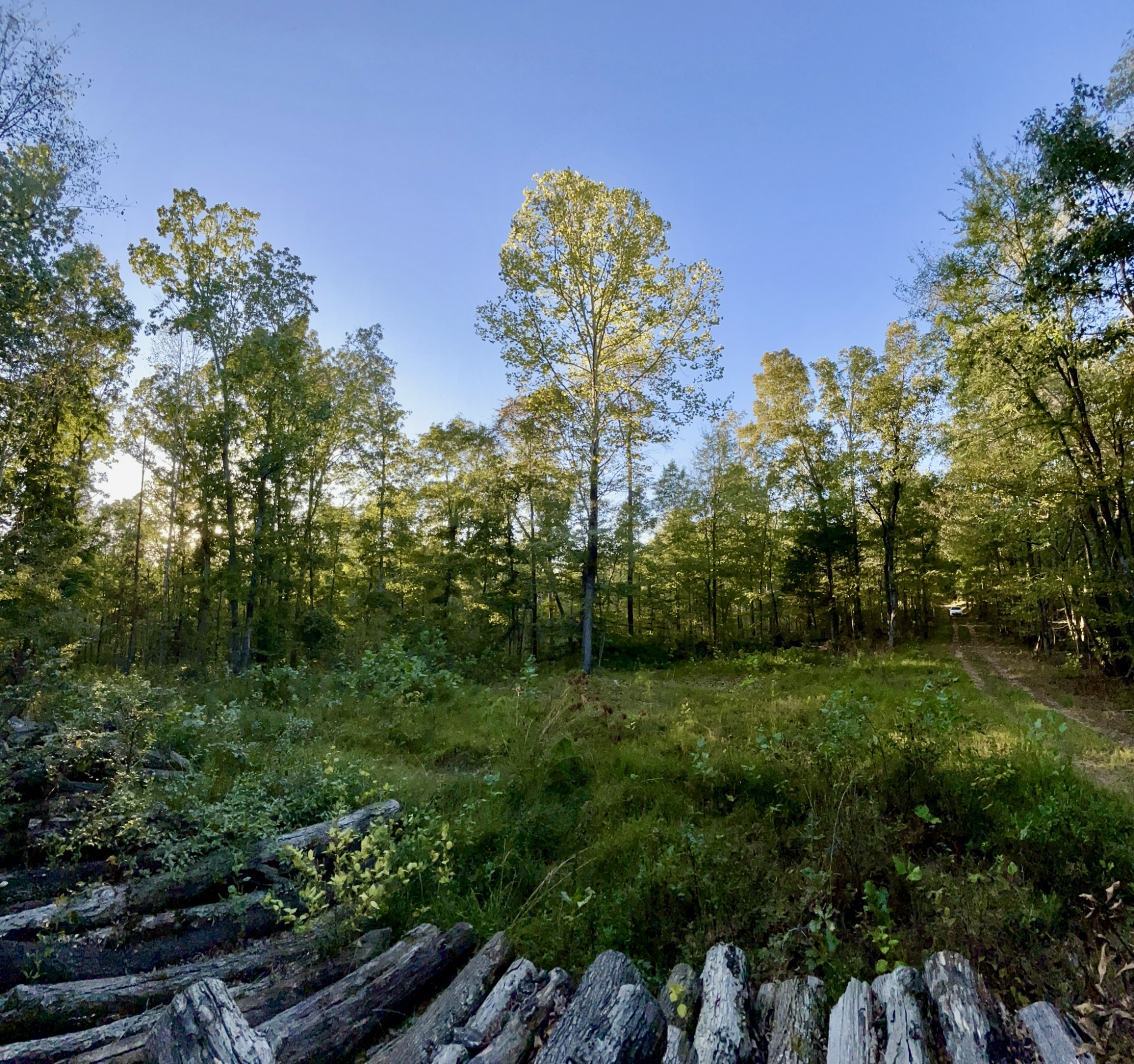 a view of a green field