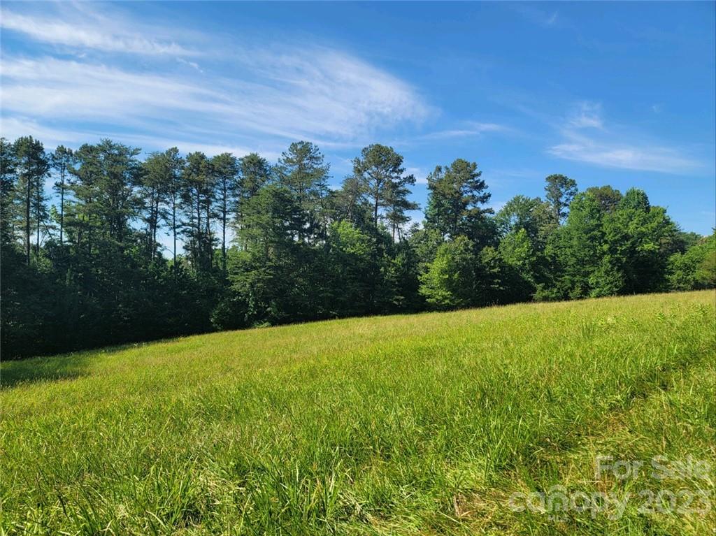 a view of a field with an trees