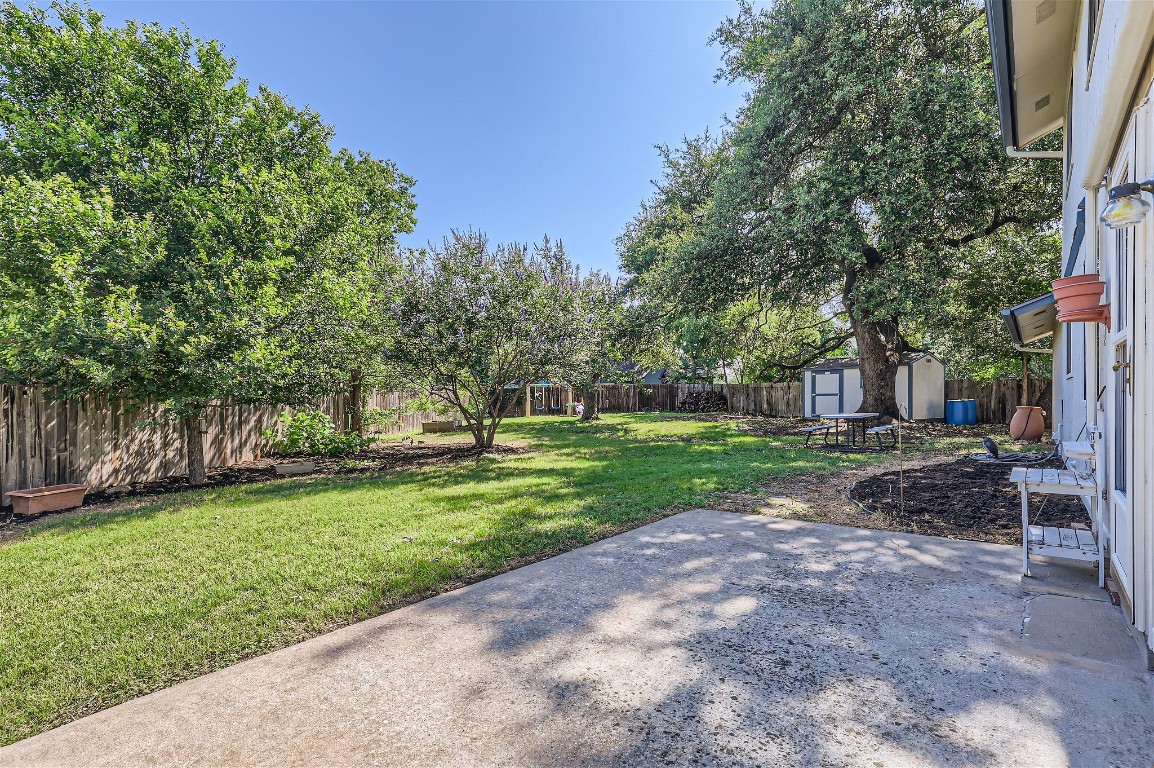 a view of a yard with plants and trees