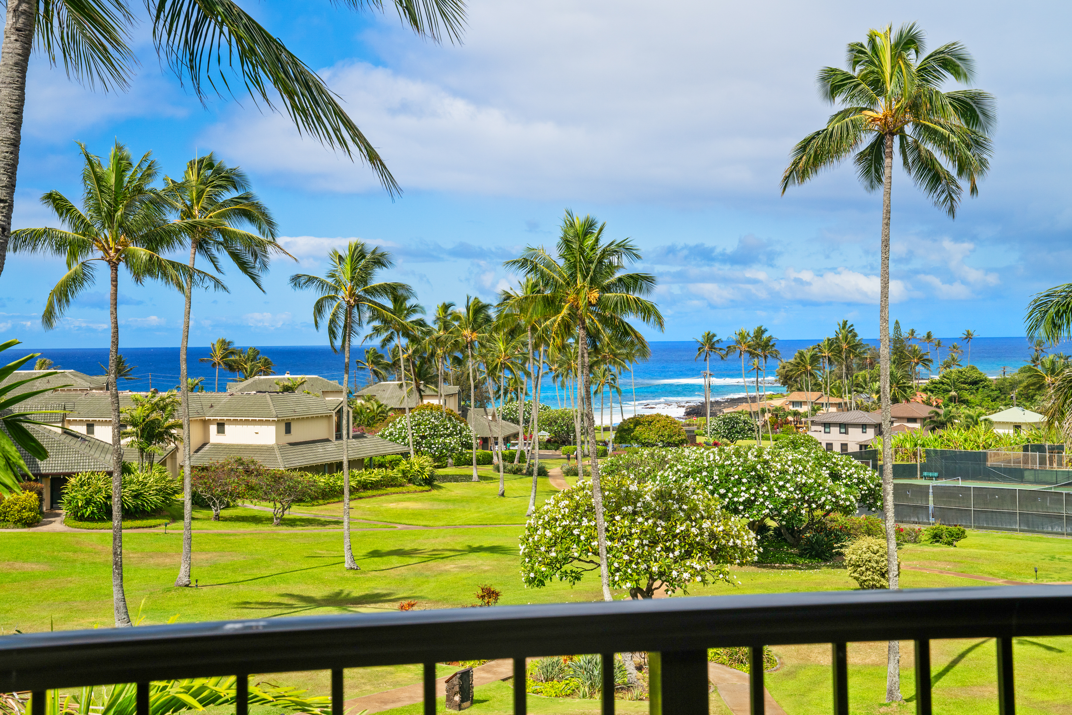 a view of a swimming pool with a lawn chairs under palm trees