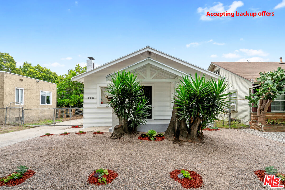 a palm tree sitting in front of a house