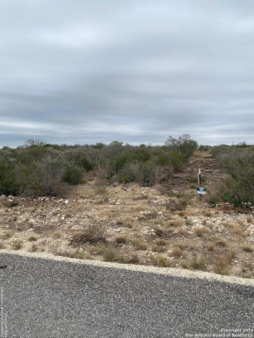 a view of a dry yard