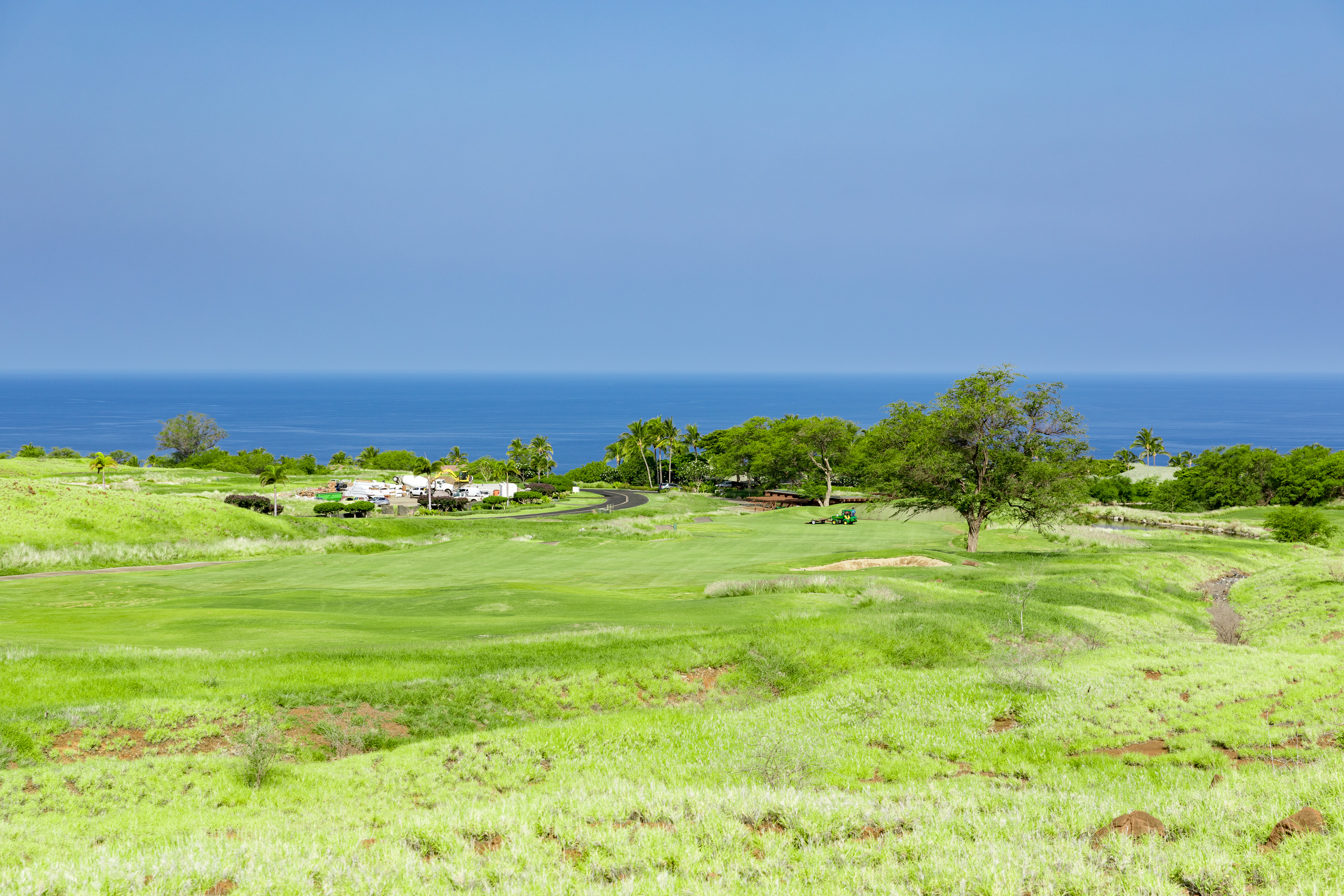 a view of a grassy field with an trees