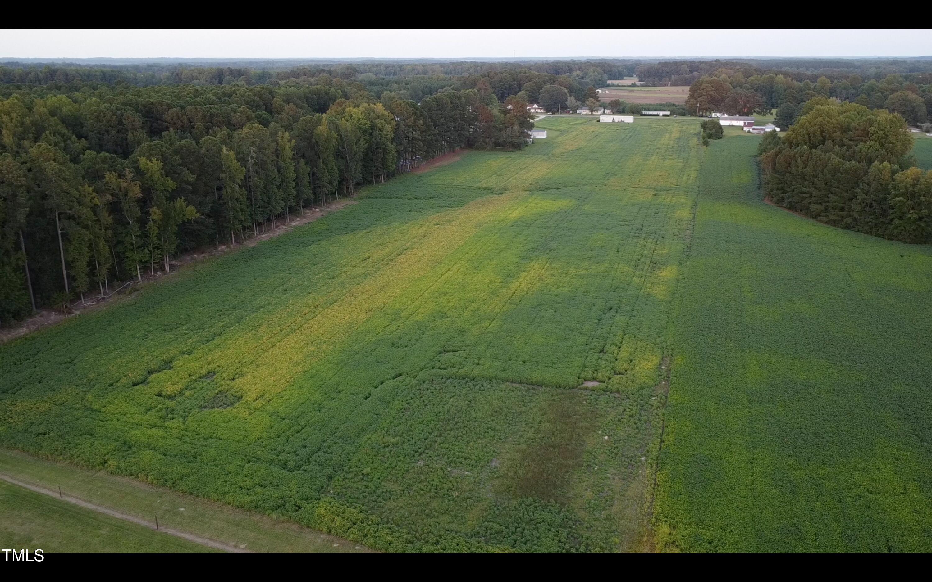 a view of a green yard