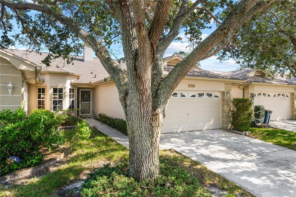 a view of a house with a tree in front of it