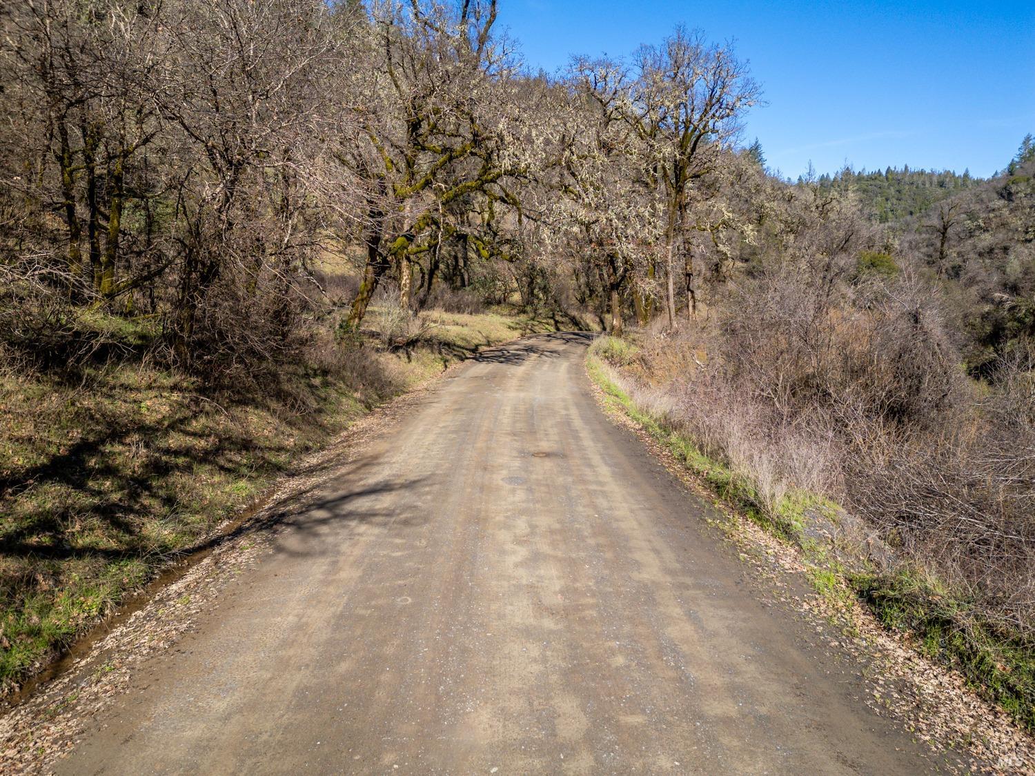 Hearst Bridge – The Willits News