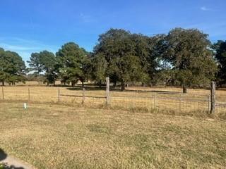 a view of a yard with an trees