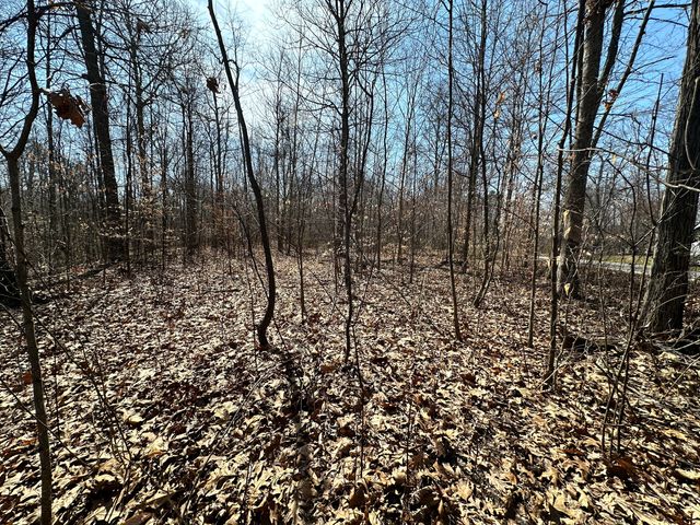 $25,000 | 0 Middle Patton Park Road | Jefferson Township - Morgan County