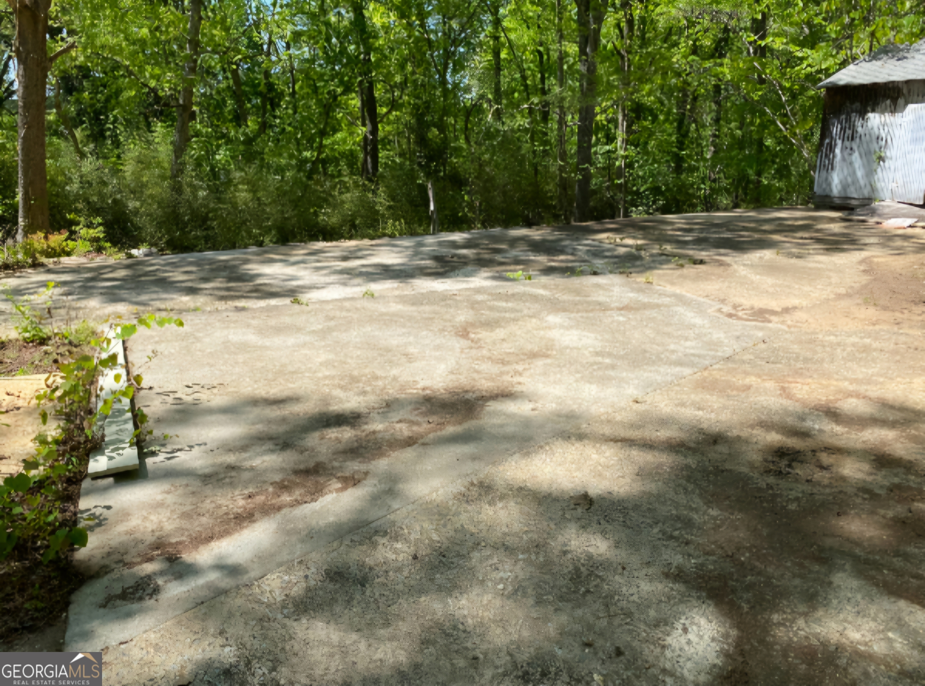 a view of a yard with a trees